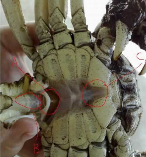 ��ѡ��բз�ļ����ĵõ�����