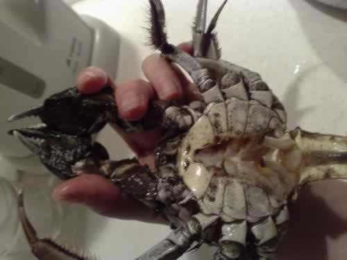 ��ѡ��բз�ļ����ĵõ�����