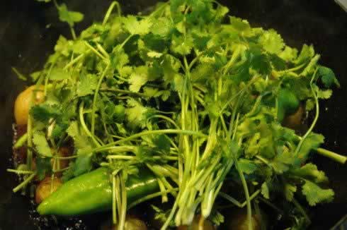 ����С����������