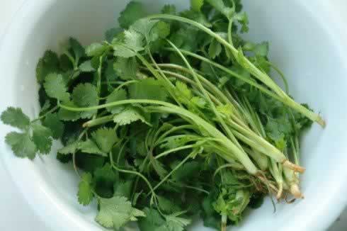 �ϻ��˵�����