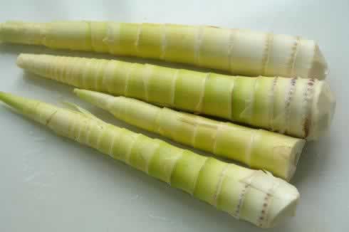 �����������������