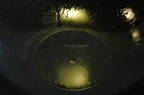 ����������Źǵ�����