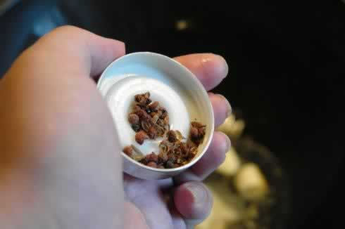 ����������Źǵ�����