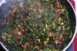 ѩ��ޮ���ƶ�������