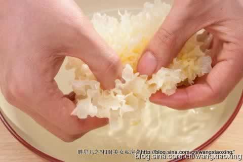 海底椰圆肉双杏雪耳煲苹果的做法