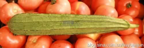 ʤ��ľ�������ϵ�����