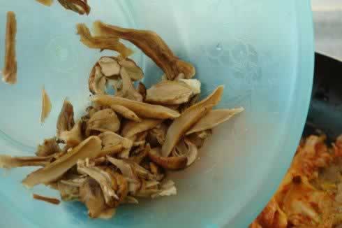 �ݲ�ţ�ξ�������