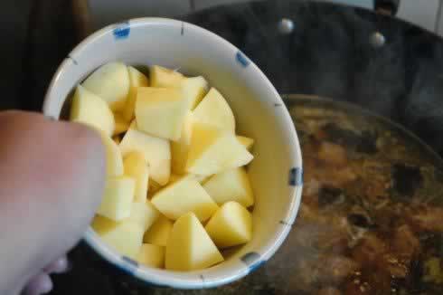 ��������ţ�������