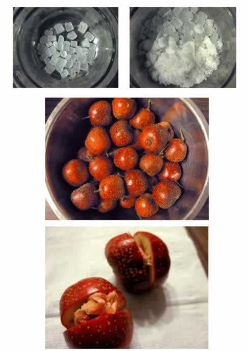 �����ϱ����Ǻ�«������