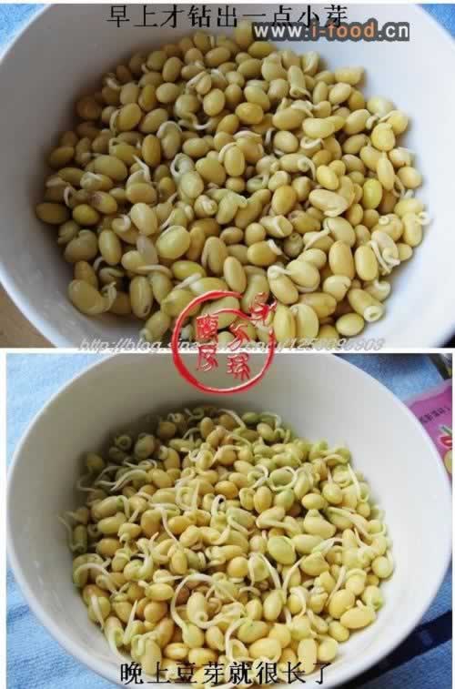 �ƶ�ѿ������������