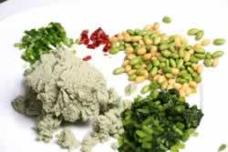 ���鶹��������