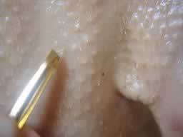 自制北京烤鸭的做法