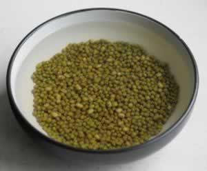 �۽�����������