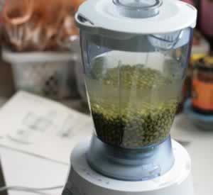 �۽�����������