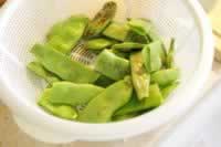 �Ź����Ͷ��ǵ�����