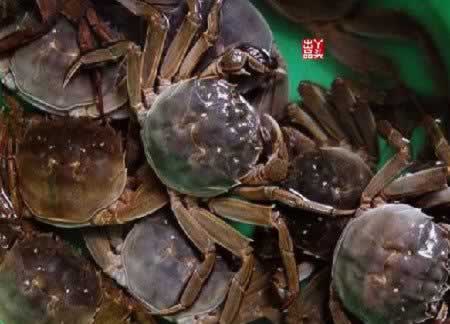 ����з������