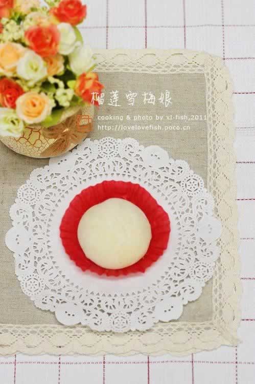 ����ѩ÷�������