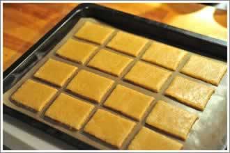 ʥ������������