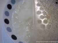 �ܲ��󸣵�����