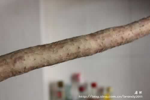 ��������ɽҩ�������