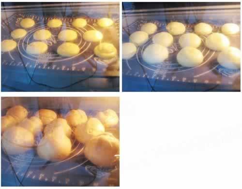 ������ܽ������