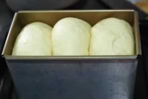 ������˾���������