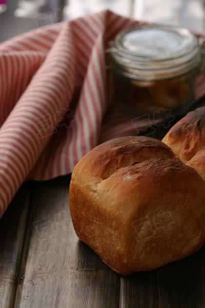 ������˾������