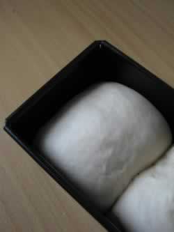 ������˾������