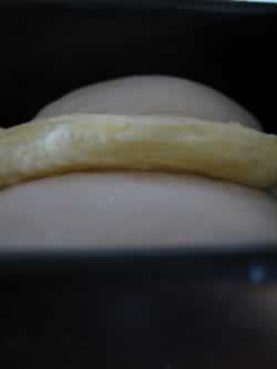 ������˾������