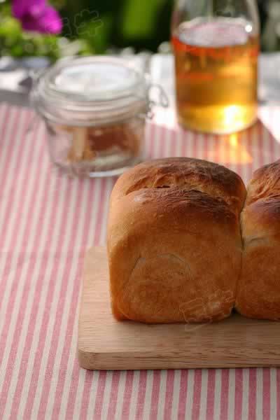 ������˾������