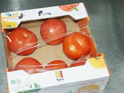 ֥ʿ��������ɳ��������