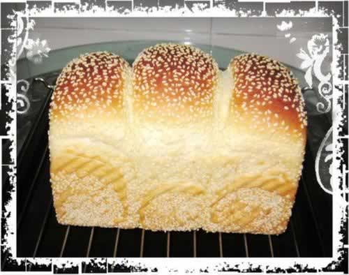 ����֥����˾������