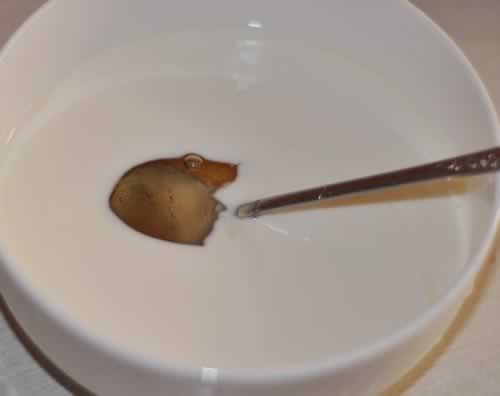 ����������̵�����