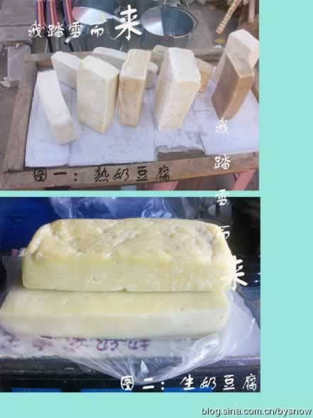 ��˿�̶���������