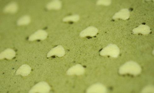 Ĩ��ʻ浰���������