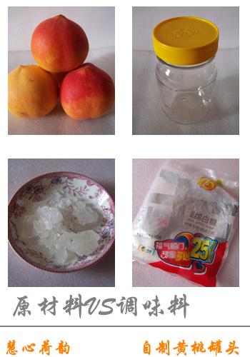 ���ƻ��ҹ�ͷ������