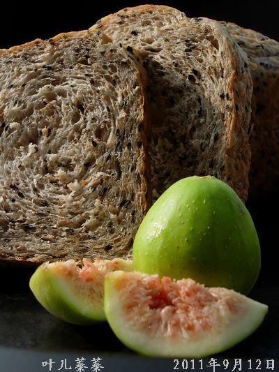 ȫ���֥����˾������