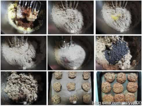 全麦巧克力奇普的做法
