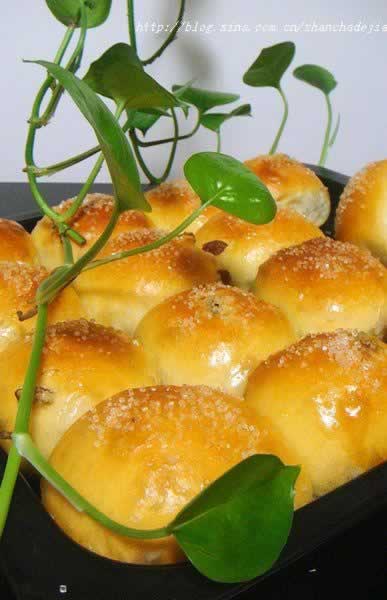 ���Ѹ�С�Ͱ�������