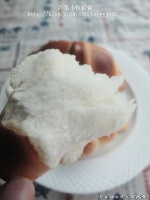 �������������������