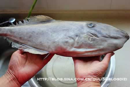 酱焖扒皮鱼的做法