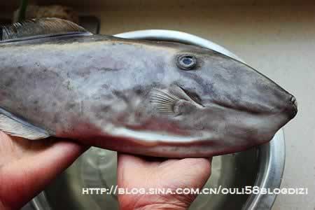 酱焖扒皮鱼的做法