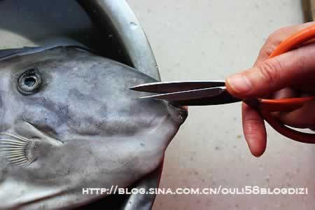 酱焖扒皮鱼的做法