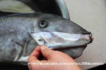 酱焖扒皮鱼的做法