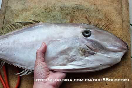 酱焖扒皮鱼的做法