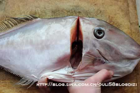 酱焖扒皮鱼的做法