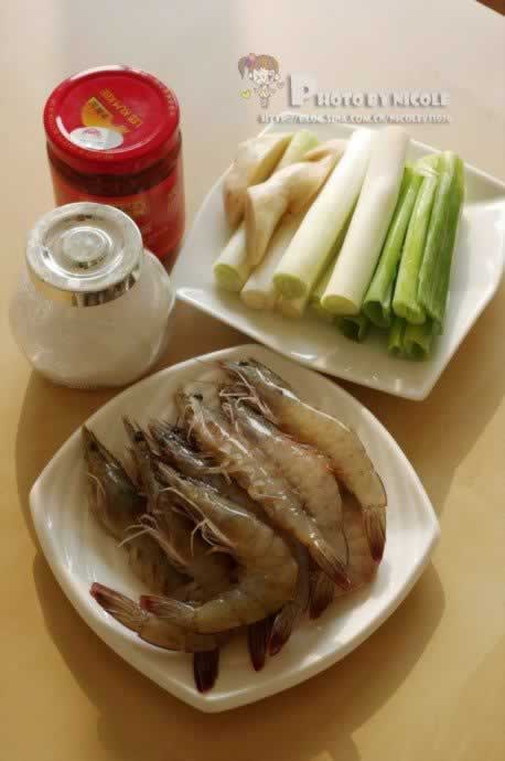 ����������Ϻ������