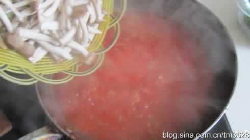 ����Ģ����Ƭ������