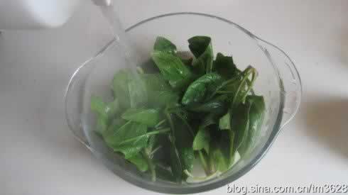 ����Ģ����Ƭ������