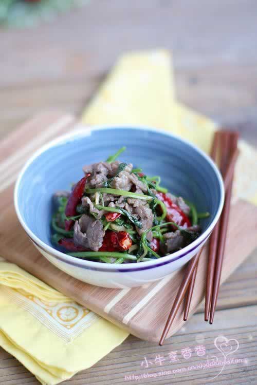 ����ţ��Ƭ������